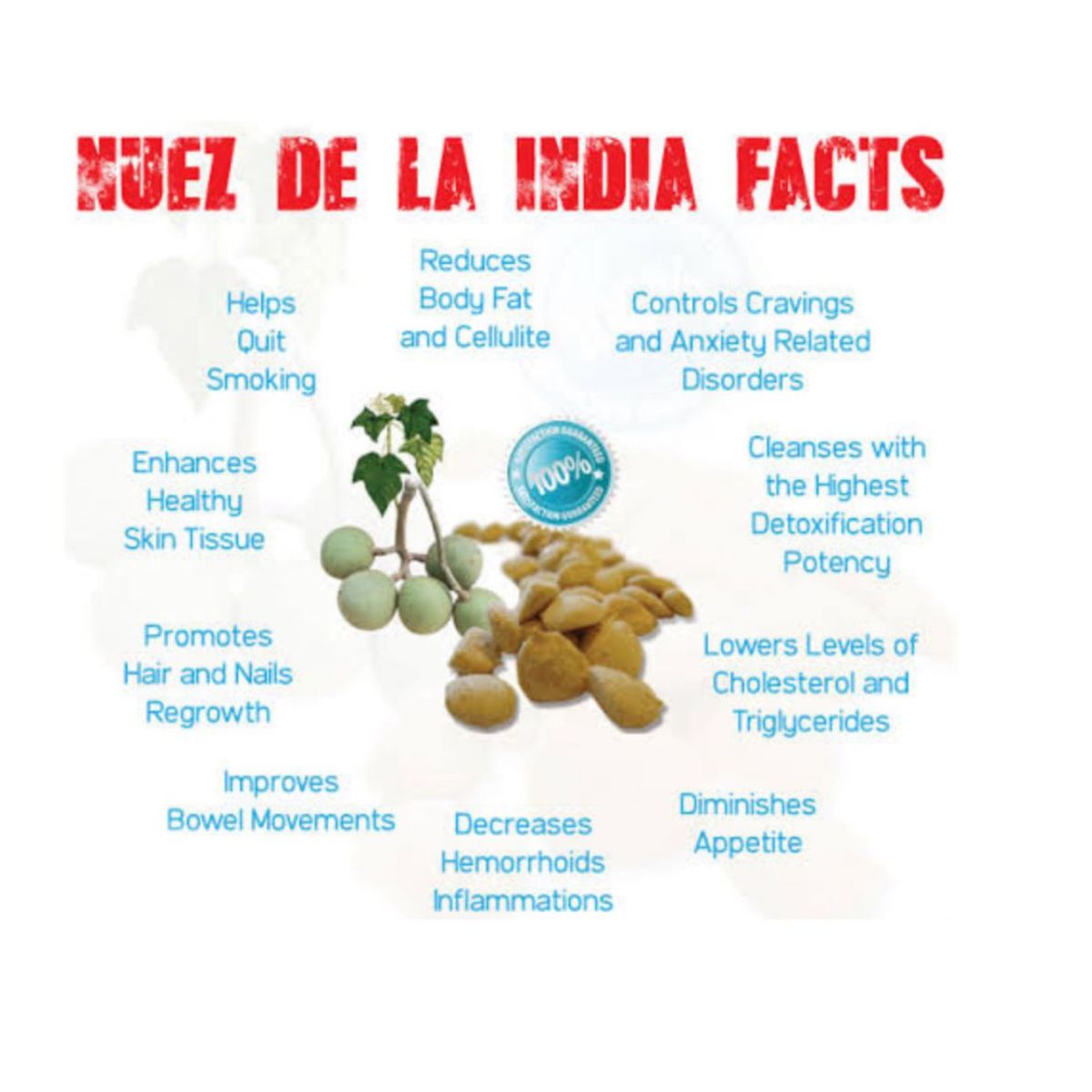 Natural Indian Detoxing Weight Loss Nuts - Fast Fat Burner Seeds (Pack of 24)