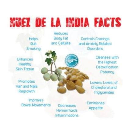 Natural Indian Detoxing Weight Loss Nuts Fast Fat Burner Seeds (Pack of 10) Loss Weight While Sleeping, No Strict Diet